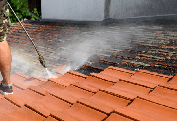 Best Roof Pressure Washing  in , LA