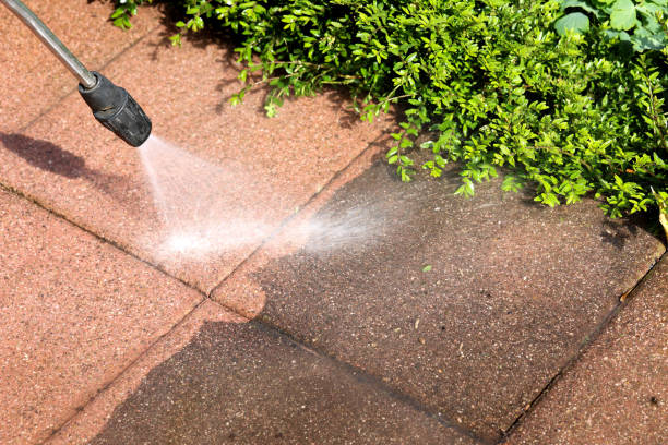 Best Best Pressure Washing Companies  in , LA